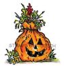 O-124-HK Lg. Leaf Pumpkin